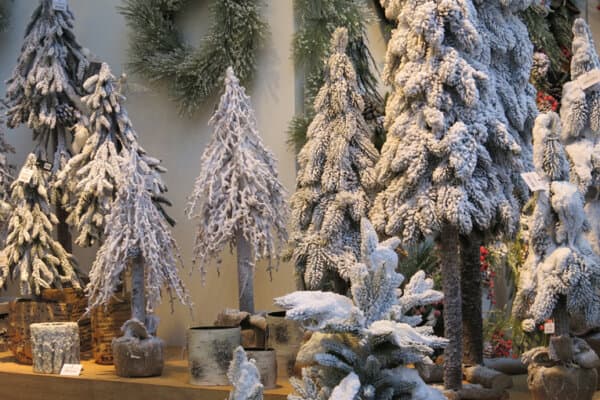 Ambiente_Weihnachtsbaeume_Altermatt_bearbeitet