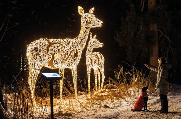 MK-Illumination_Waldtiere_beleuchtet_bearbeitet
