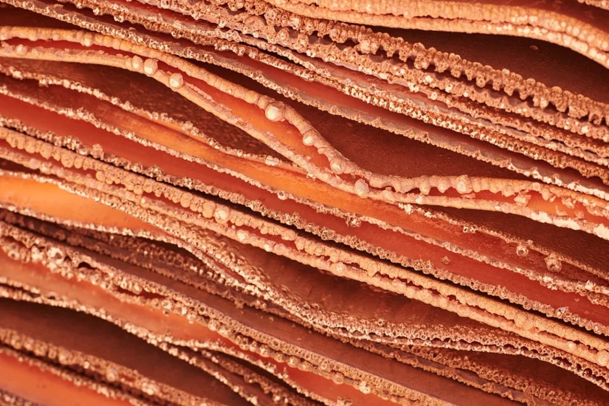 Rohstoff-Handel erbringt 2,3 Prozent der Schweizer Wertschöpfung