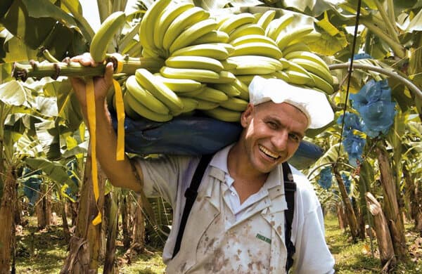 Bananen_Fairtrade_Volg_bearbeitet