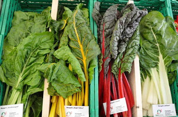 Bio-Suisse_Mangold_bearbeitet