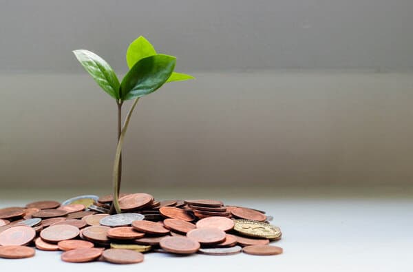 Geld_Muenzen-Pflanze_Quelle-Unsplash-Micheile-Henderson_bearbeitet