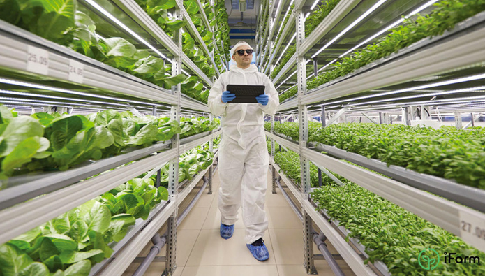 Fenaco investiert in Vertical Farming